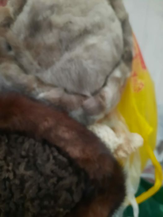 Шапки норка отдам