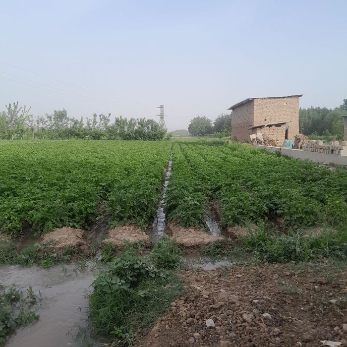 Dakment kadastir bor real oladigonlar aloqa chiqsin