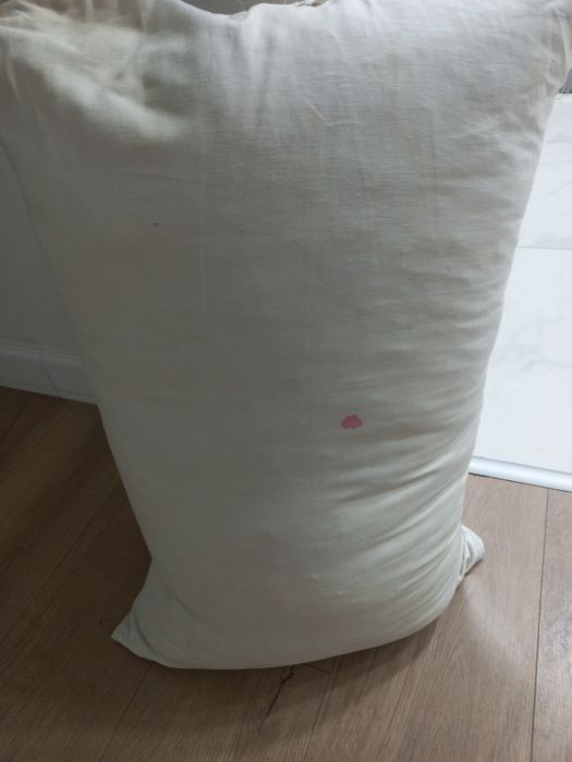 Гусинный пух,падушу можно сделать