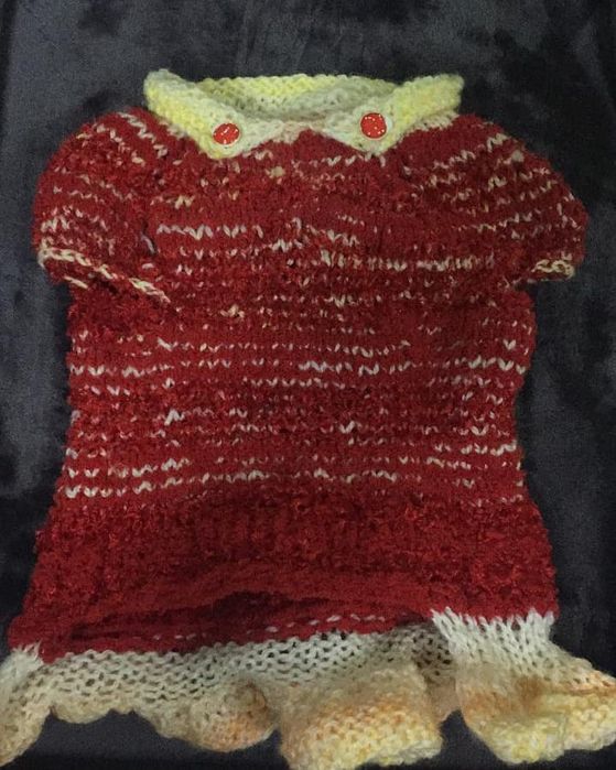 Одежда для кошек и собак