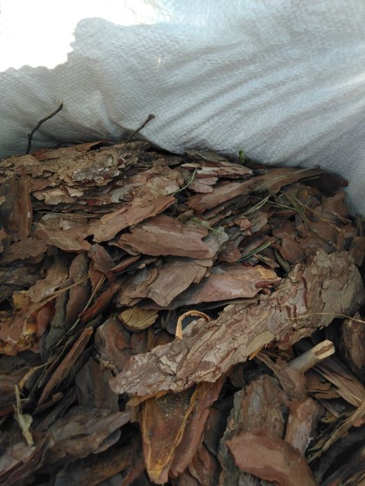 Боров мулч - дребен и едър, за декорация , Трици и талаж.