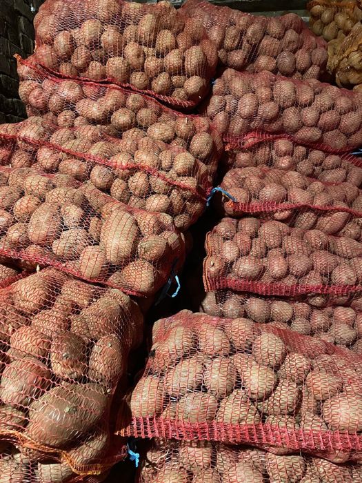 Cartofi consum albi si rosii