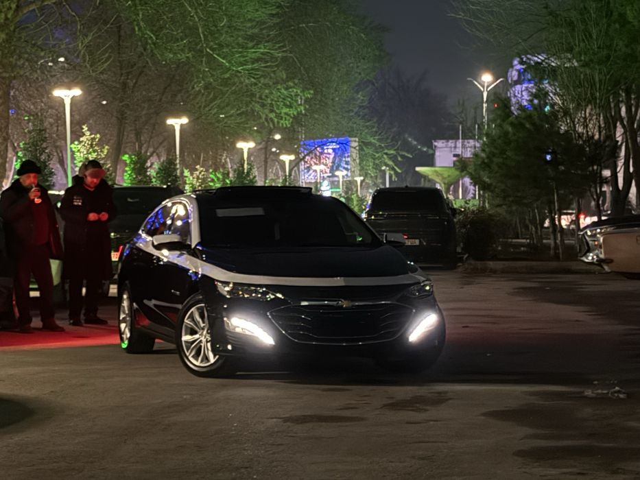 Malibu 2 premer 2022 kraska tozza masla