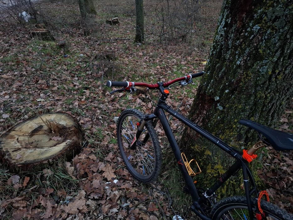 Vand Bicicletă Red Bull