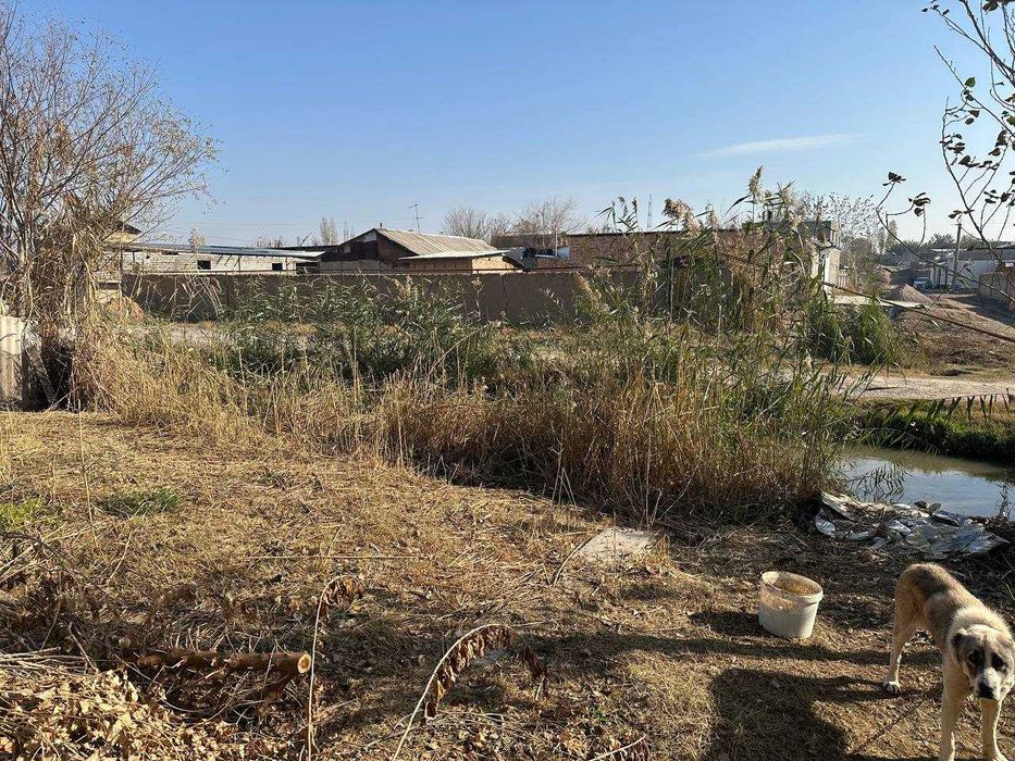 Arendaga 8 sotok uchastka beriladi