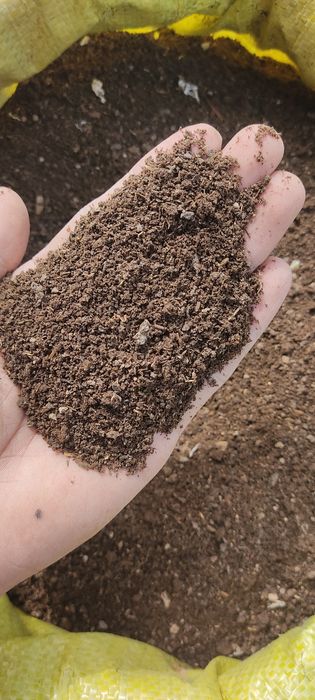 Kaliforniya BIOGUMIS Chuvalchangi, 150000 bir savati