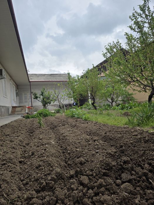 Дурмон  махалласида 5 хона  7 сотихли уй сотилади.