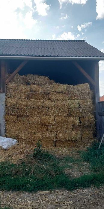 Balot de paie de vânzare