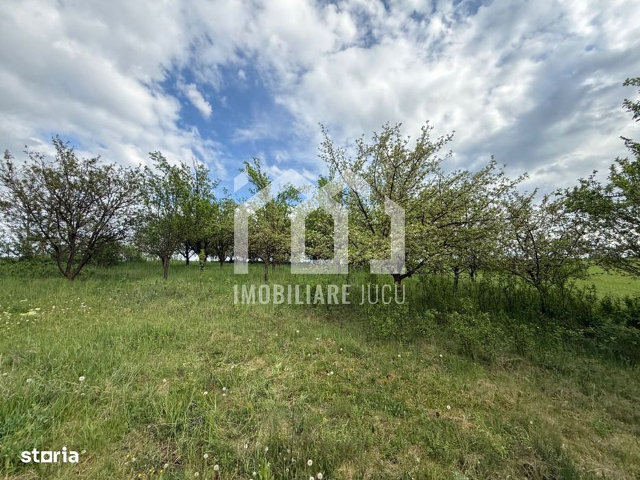 Teren intravilan construibil – 2.100 mp | Căianu