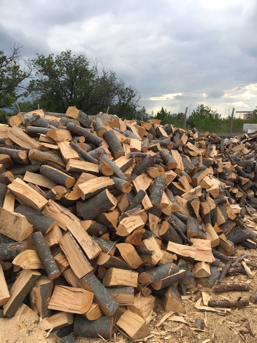 Дърва за огрев от 70€ реален кубик
