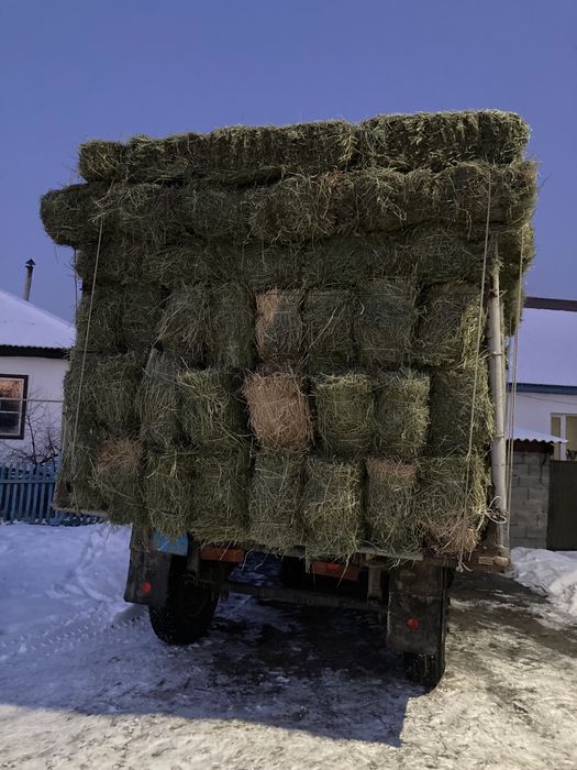 Сена Жонышка сатамыз