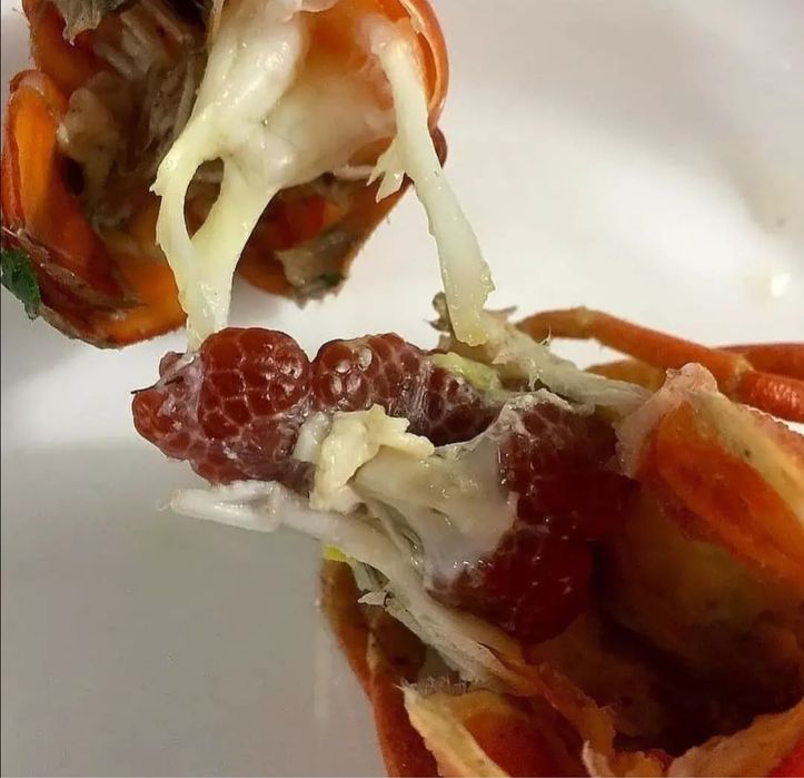 Раки и морепродукты г.Алматы