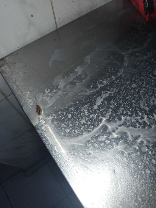 Дезинсекция , дератизация