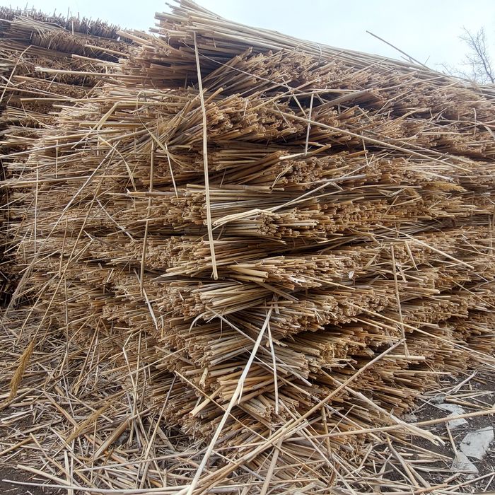 Камыс Камиш Мата