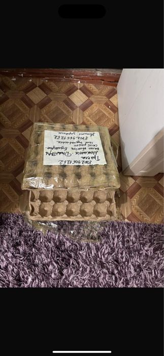 В продаже индюшиное яйцо биг 6