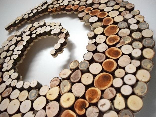 Кругляк натурального дерева в Ташкенте.