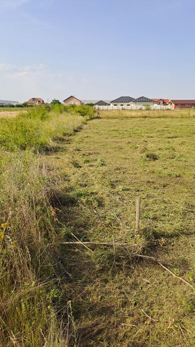 Curăț terenuri defrișez