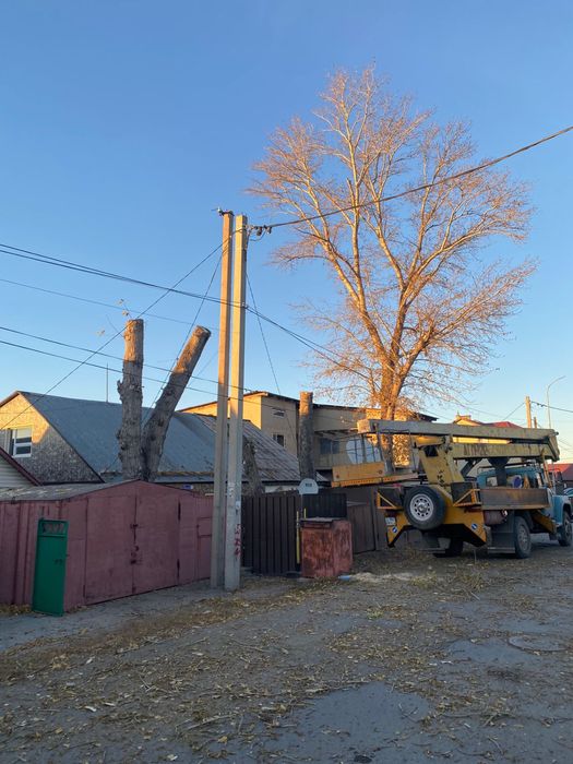 Спил Деревьев,подрезка веток