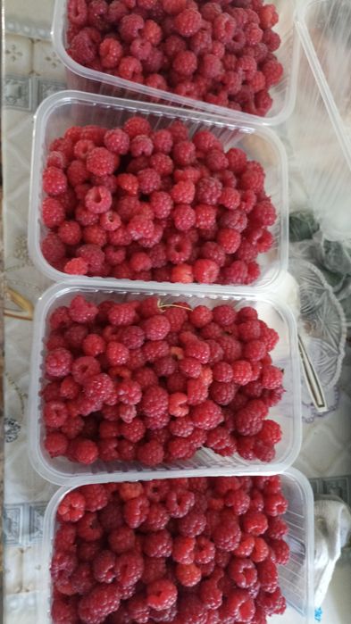Малина домашняя,слалкая