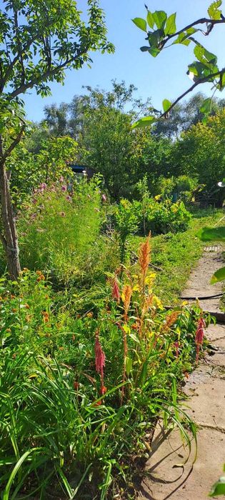 Продам дачу, район Телецентра СО "Кристалл"