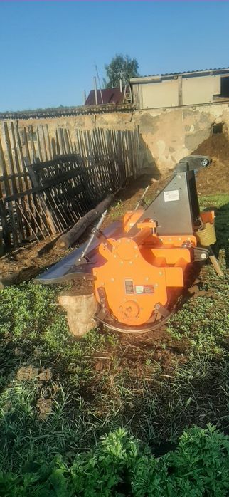 Почвофреза Индийская