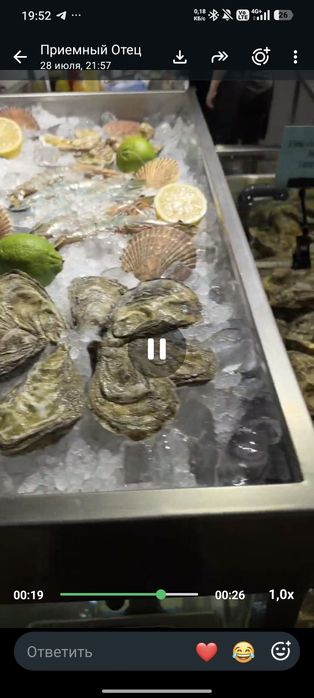 Аквариум для морепродуктов