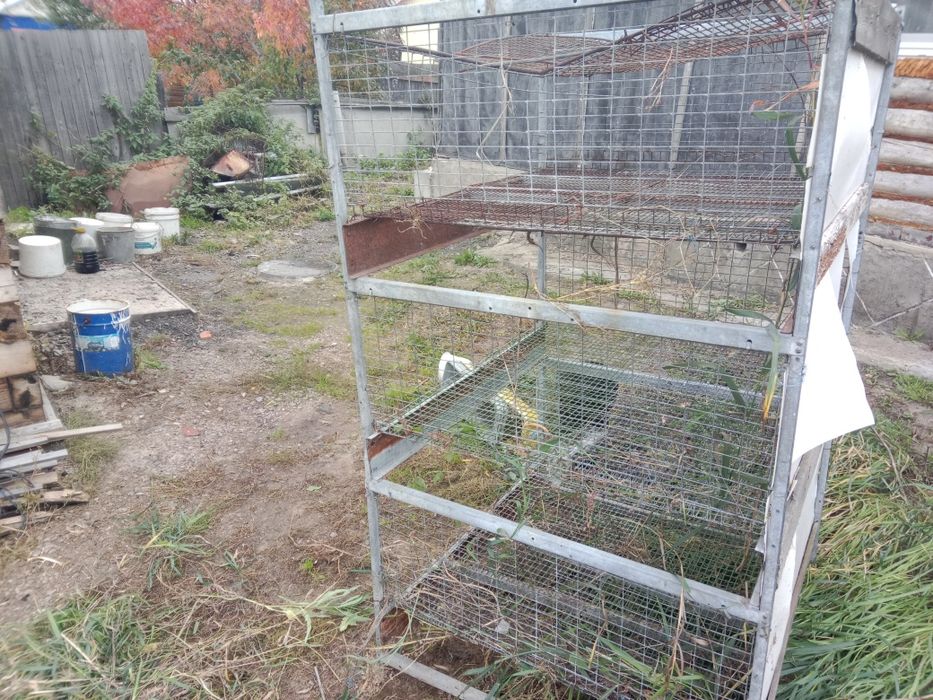 Клетка для бройлеров в три яруса