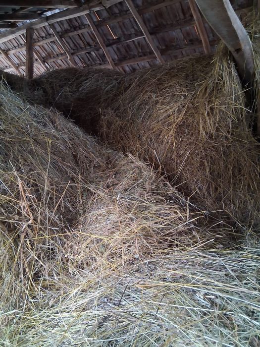 Fan de gradina de vanzare