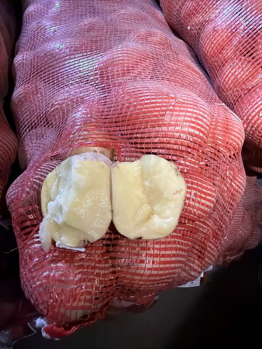 Продается картофель