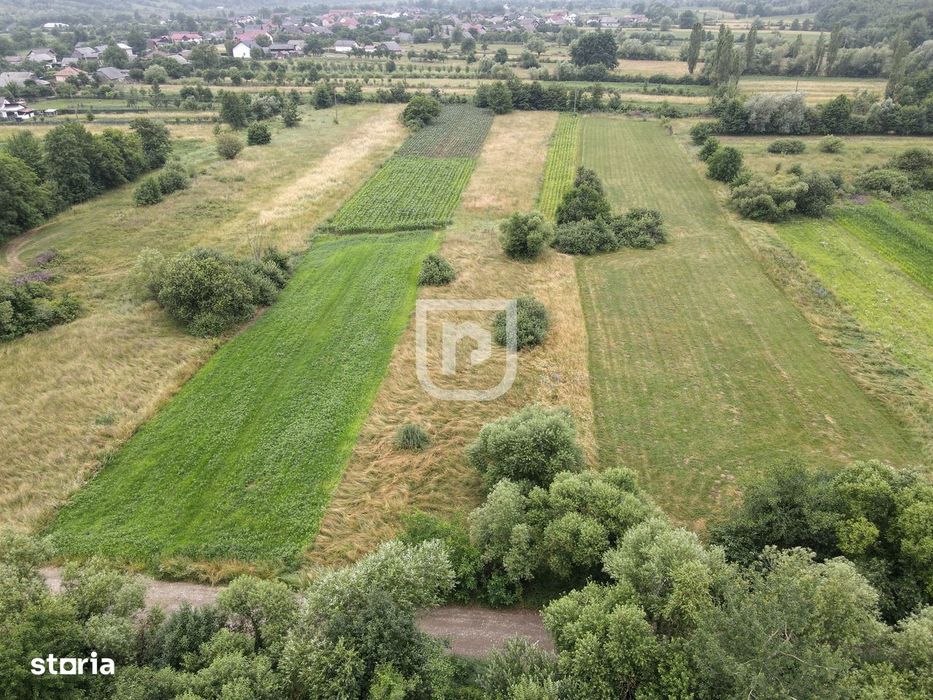 Teren Malini 3600mp | Suceava | Bucovina