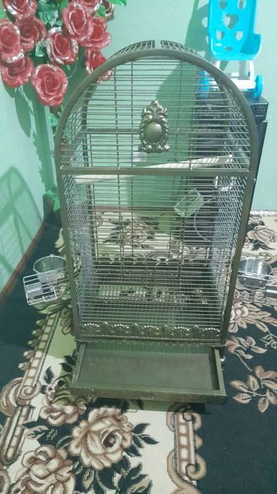 Кафас Сотилади янги 2 ой куш бокилган