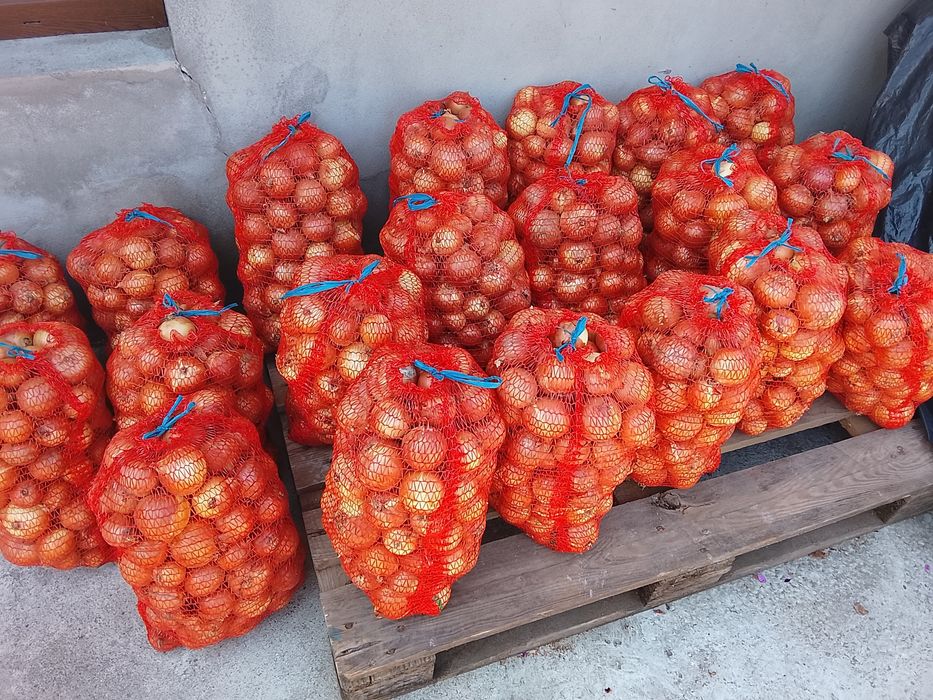 Ceapa de vanzare la plasa de 10 kg