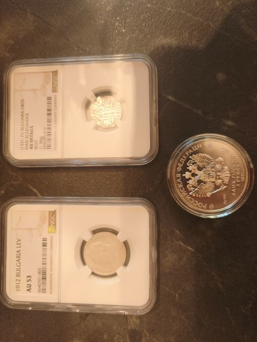 Ngc 1 лев и Иван Александър