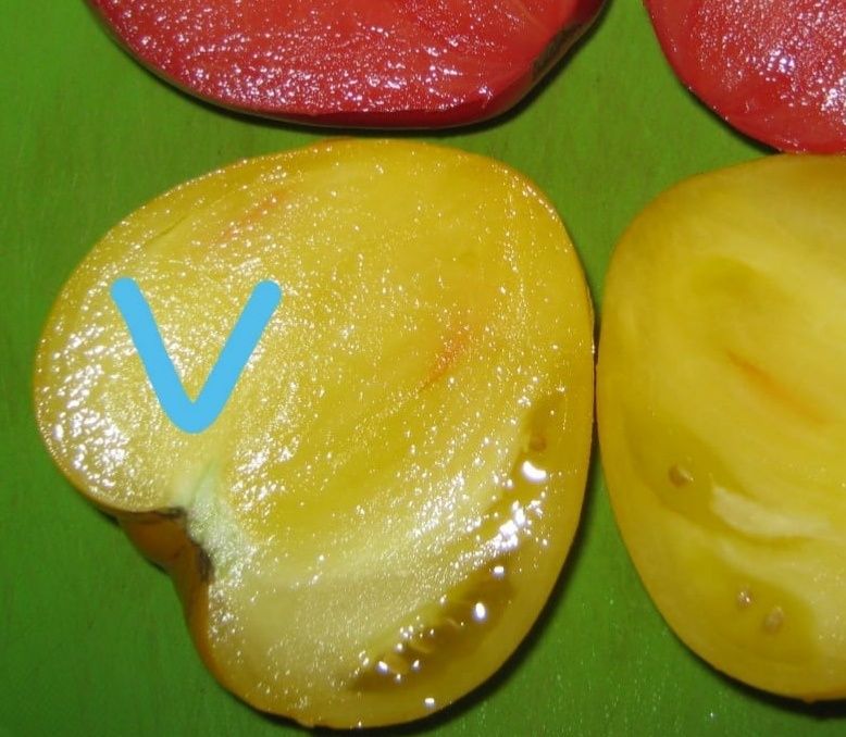 СЕМЕНА  томатов,  сорта разные(не гибриды)