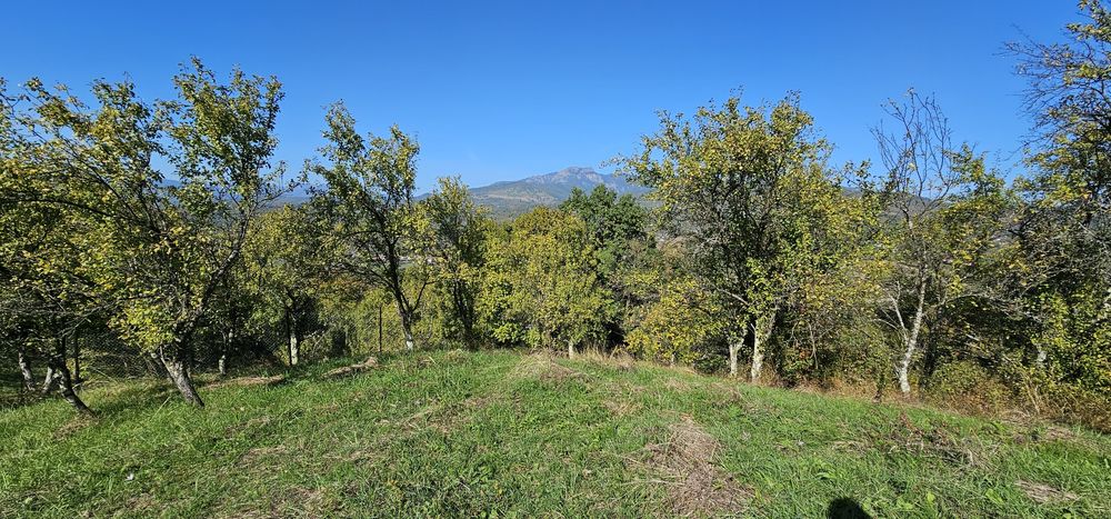 Teren de vanzare In Berislavesti - Calimanesti 4000mp