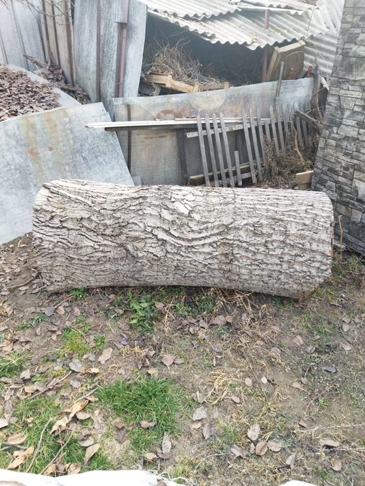 Продам бревно(орех)