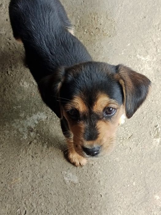 кучукча мехрибон кулларга янгиюл шахар