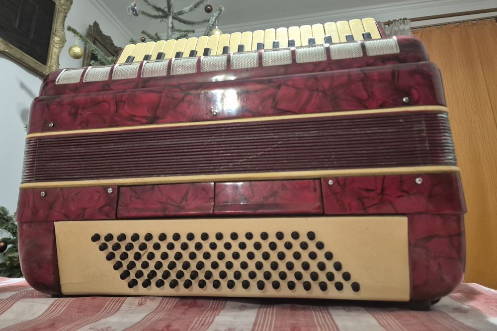 Vand Acordeon Parrot