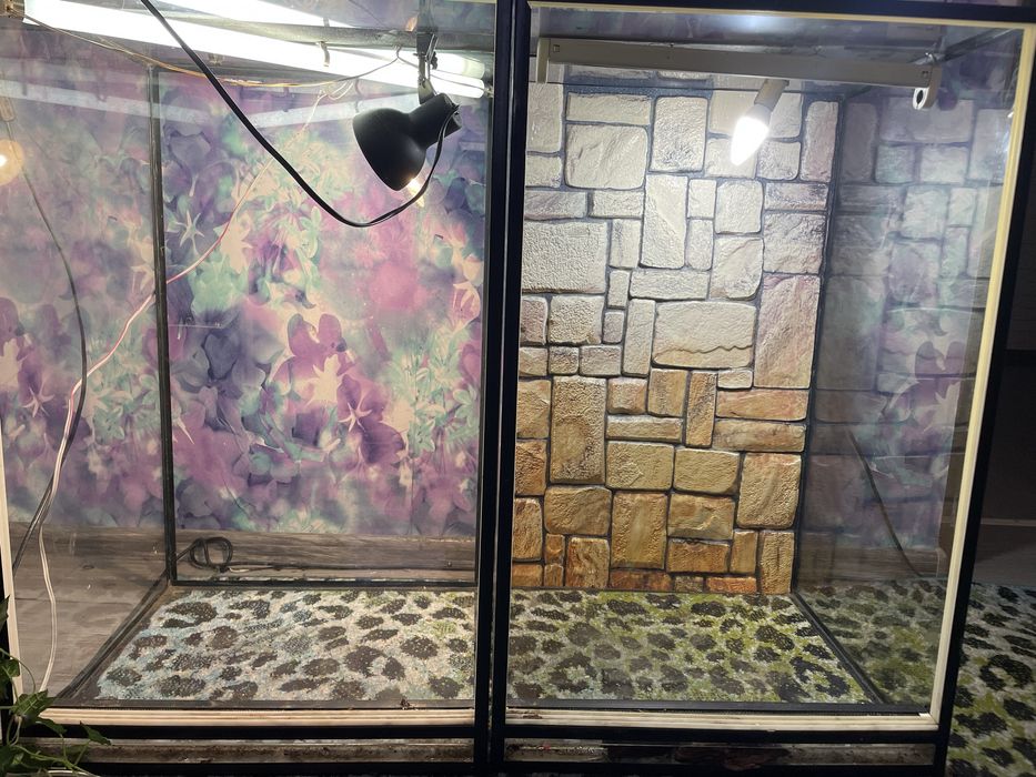 2 террариума с наполнением