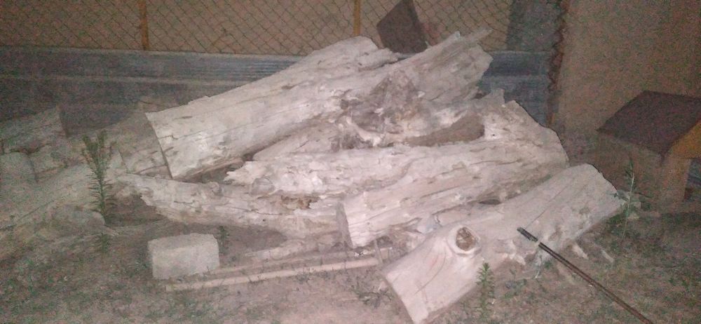 Қара ағаш отын  дрова