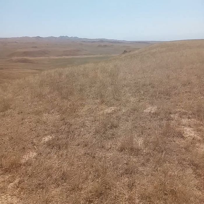 Продам КХ 27 га земли, пастбище