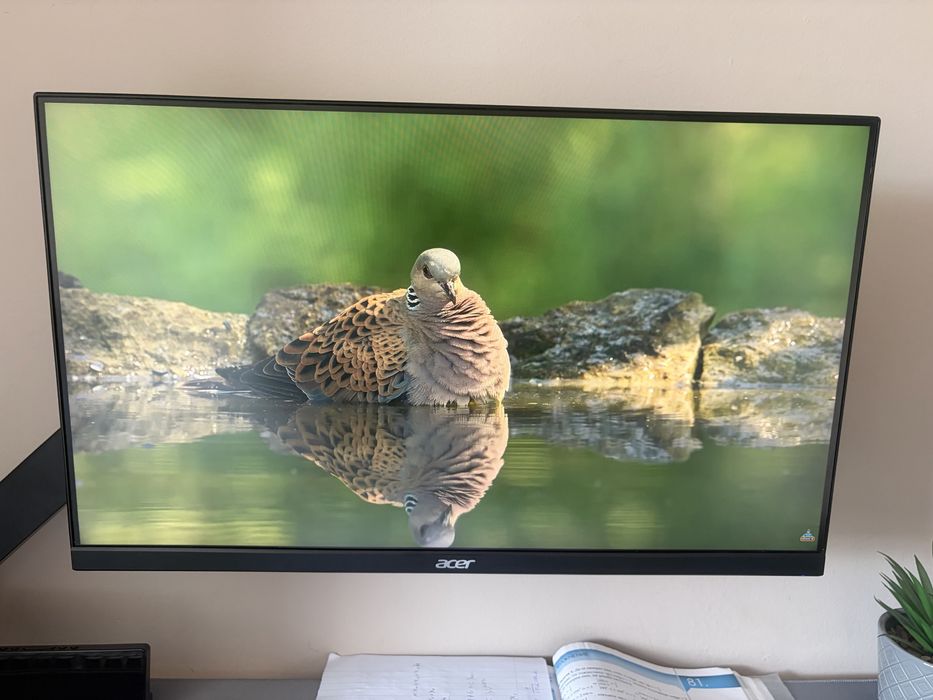Acer PG241YP 23.8 165Hz