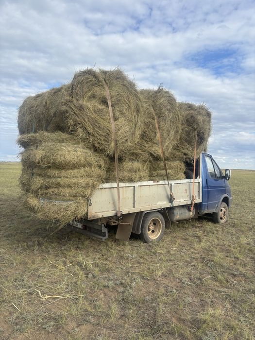 Продам кузов самосвал