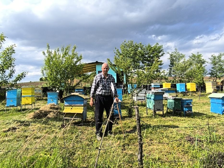 Продавам пчелен мед букет