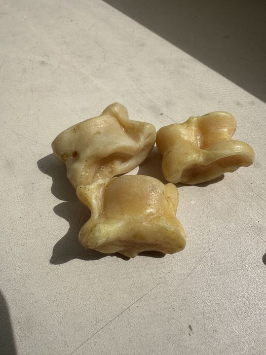 Асыки бараньи продам