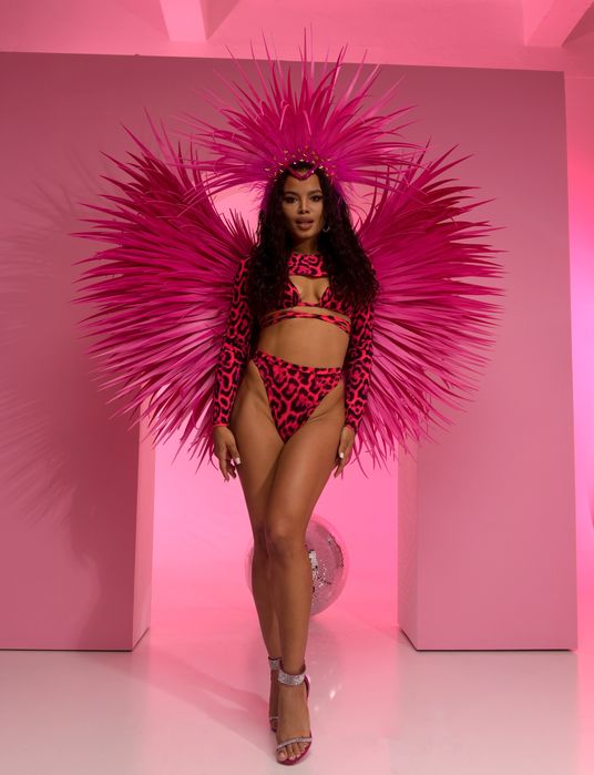 Ангелски крила различни модели