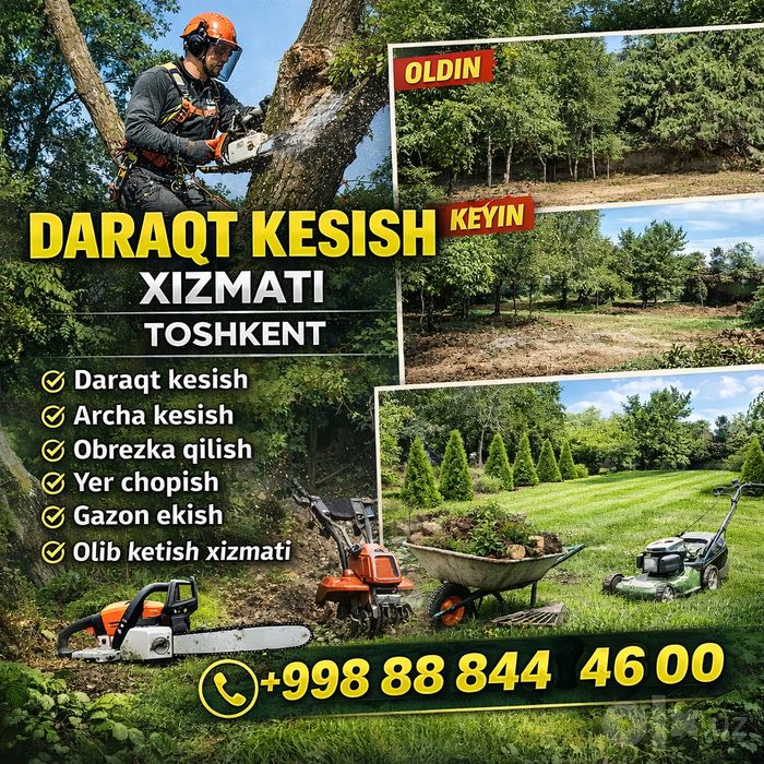 Daraxt kesish 24/7  дарахт кесиш 24/7 Обрезка деревьев спилит деревия