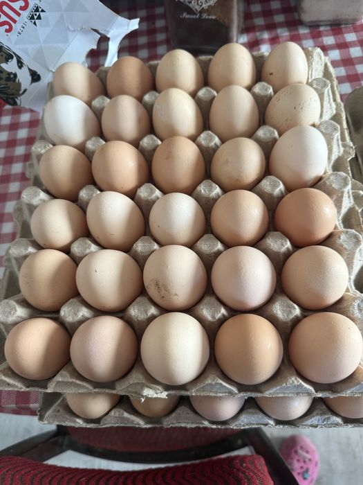 Ouă proaspete de casă – Rhode Island Red – 2 lei/buc