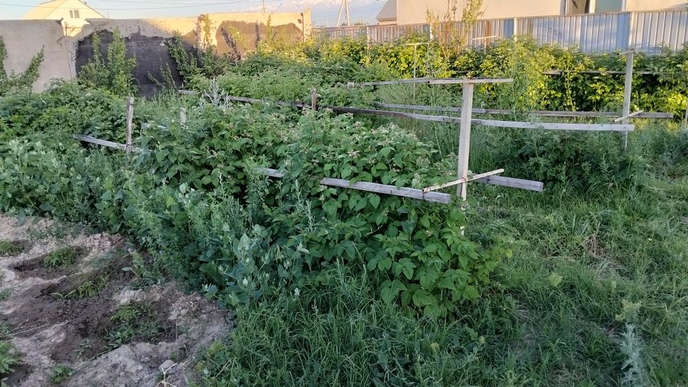Продам         дом