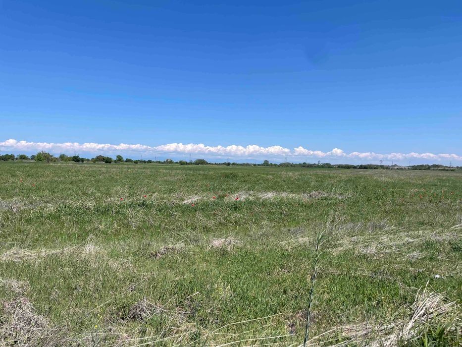 Продава се Парцел в с. Ягодово, Област Пловдив - 6299 кв.м за 36 €/кв.м - Снимка #1